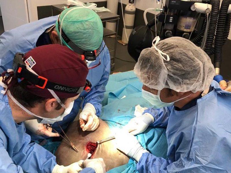Operando a la mulita cirugia equina en hospital veterinario equinuvi en córdoba